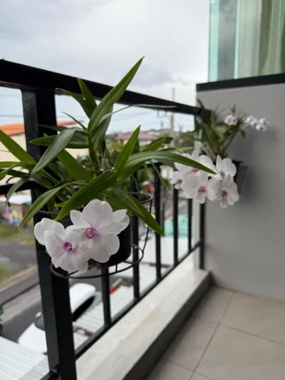 Maria's Guest House, Rawai – Fotos 9